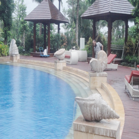 amjs澳金沙门·(中国)有限公司