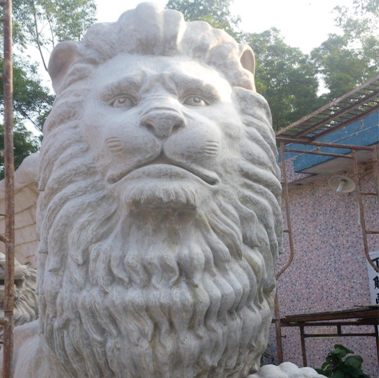 amjs澳金沙门·(中国)有限公司